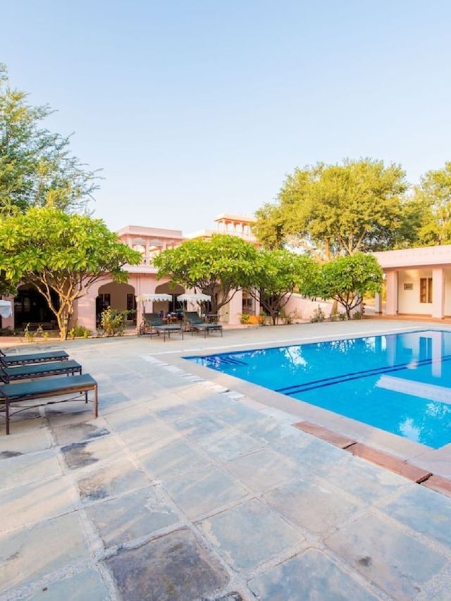 🌟 Ranthambhore's Regal Retreats 🐅✨
