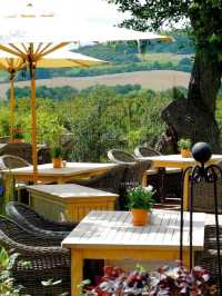 🌟 Marburg's Hidden Gem: VILA VITA Rosenpark 🌟