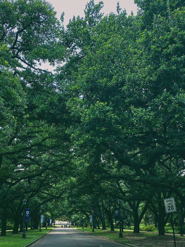 休斯頓｜小眾玩法～一日遊路線~