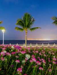 🌊 Seaside Bliss at Qingmai S Seaview Hotel, Zhuhai 🏖️