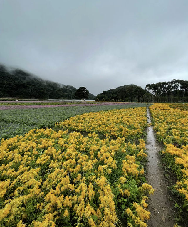 廣州｜燒傷嶺