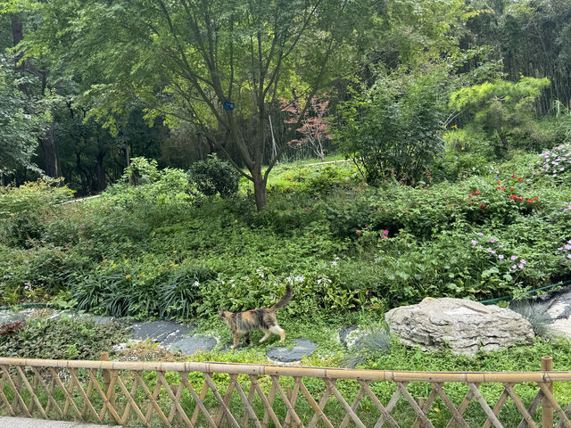 泉城公園（東南門）