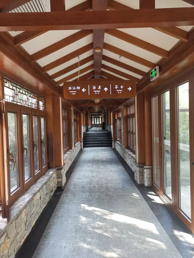 保定涞源夏日家庭之旅3：最愛白樺林溫泉谷