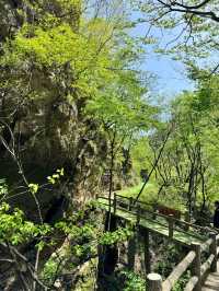 河南欒川重渡溝