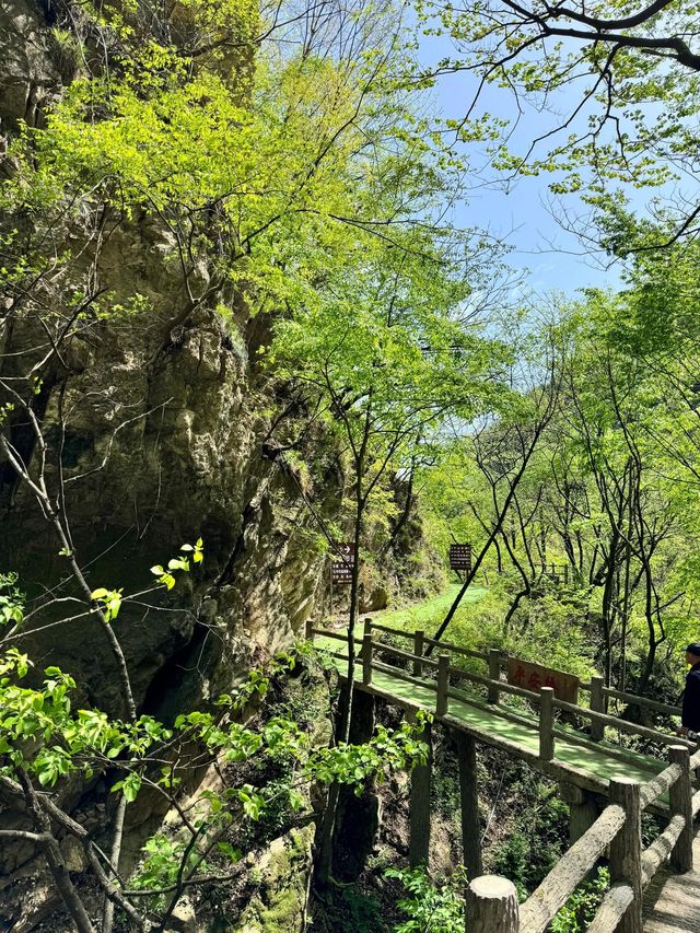 河南欒川重渡溝