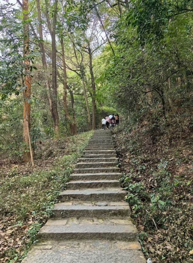 莆田|仙游～大蜚山我的最愛！