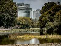 A Day in China’s Spring City!