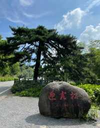 湖北咸寧九宮山丨“九宮清涼，避暑天堂”