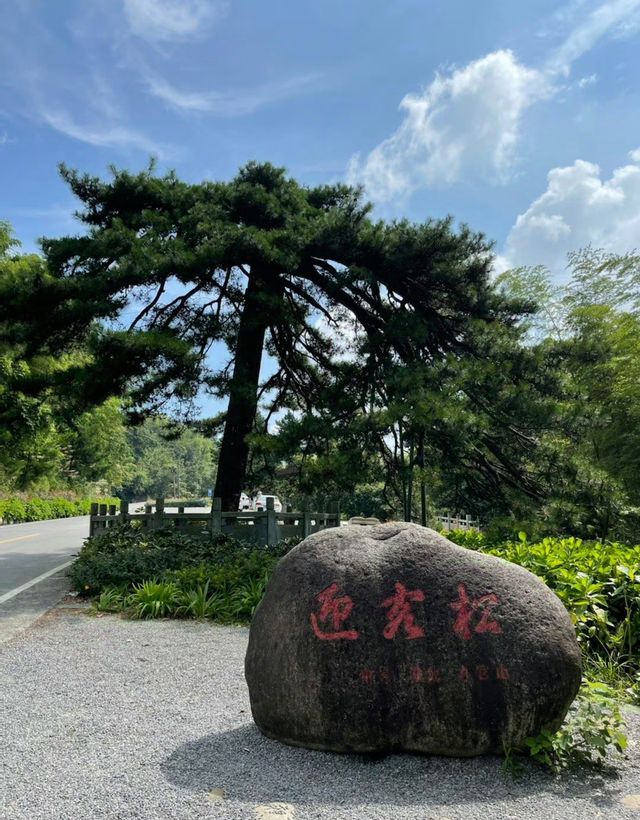 湖北咸寧九宮山丨“九宮清涼，避暑天堂”