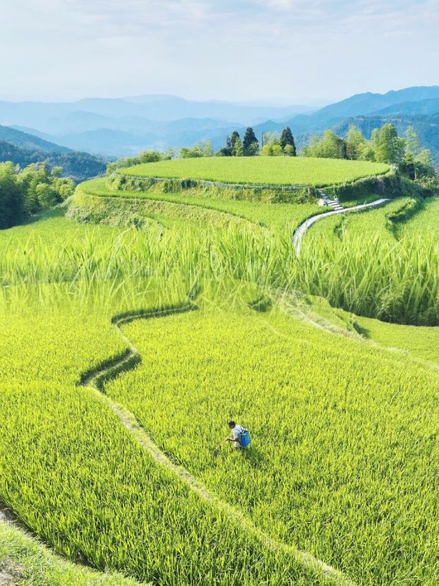 探索全球十大最美地形之一：桃源梯田的迷人傳說