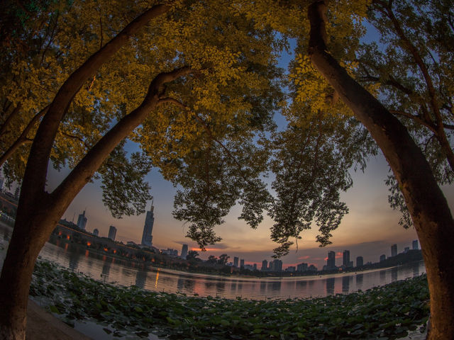 The BEST Lake in Nanjing!