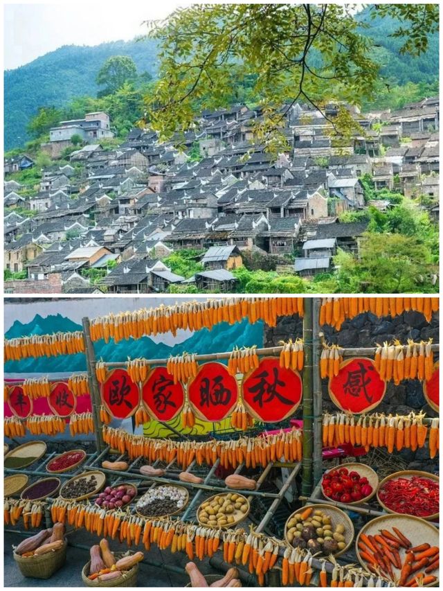 中秋唔使出省!由廣州出發只需3小時就可以欣賞金秋麥浪!