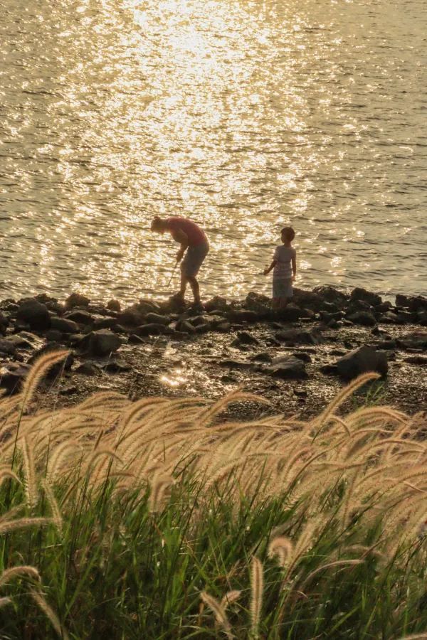深圳日落海邊公園，浪漫無敵！🌅