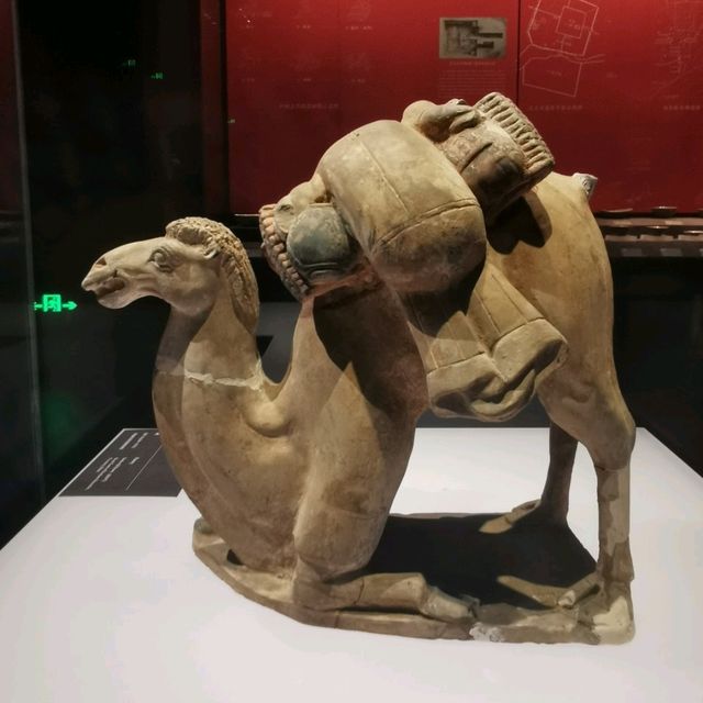 探索古代文明的奧秘：中國考古博物館