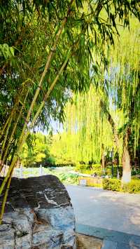 聽講西安豐慶公園錦簇芳菲，打卡過公園"山水綠叢中"才知曉。