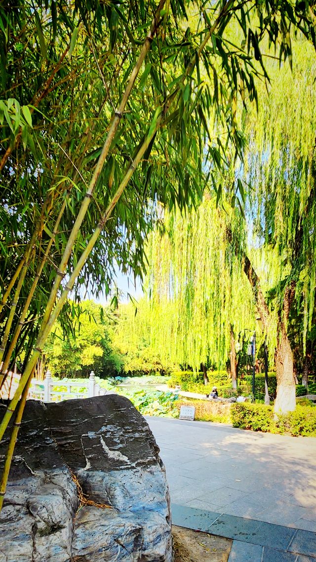聽講西安豐慶公園錦簇芳菲，打卡過公園"山水綠叢中"才知曉。