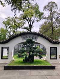 四川成都｜百花潭，走進花花的世界。