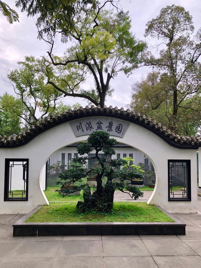 四川成都｜百花潭，走進花花的世界。
