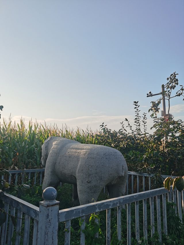 三原行｜陝西關中十八唐帝陵首座之獻陵。