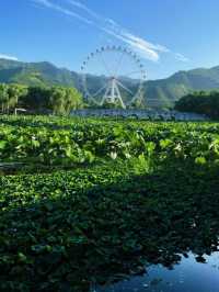 反向旅遊 | 商洛山裡的綠野仙蹤，美哭。