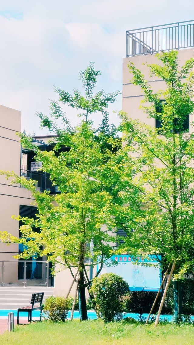 美國波士頓。｜追尋自由之路的歷史足跡。