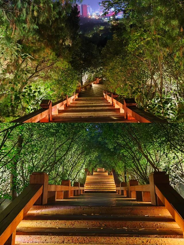 蚌埠 張公山公園。