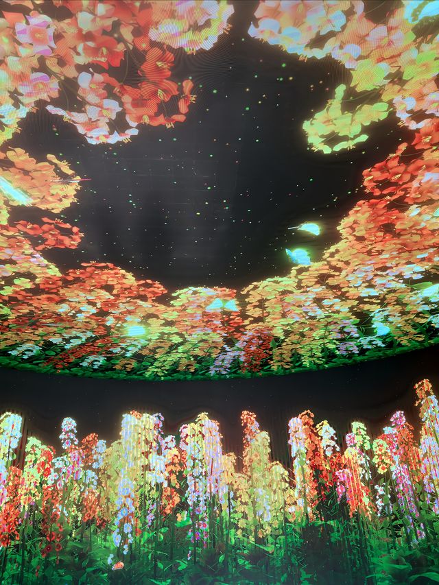 嘉興親子秋遊|銀杏天鵝湖旁科技新館。 嘉興親子秋遊|銀杏天鵝湖旁科技新館。
