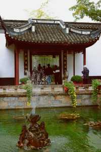 又到了醉白池最美的季節。