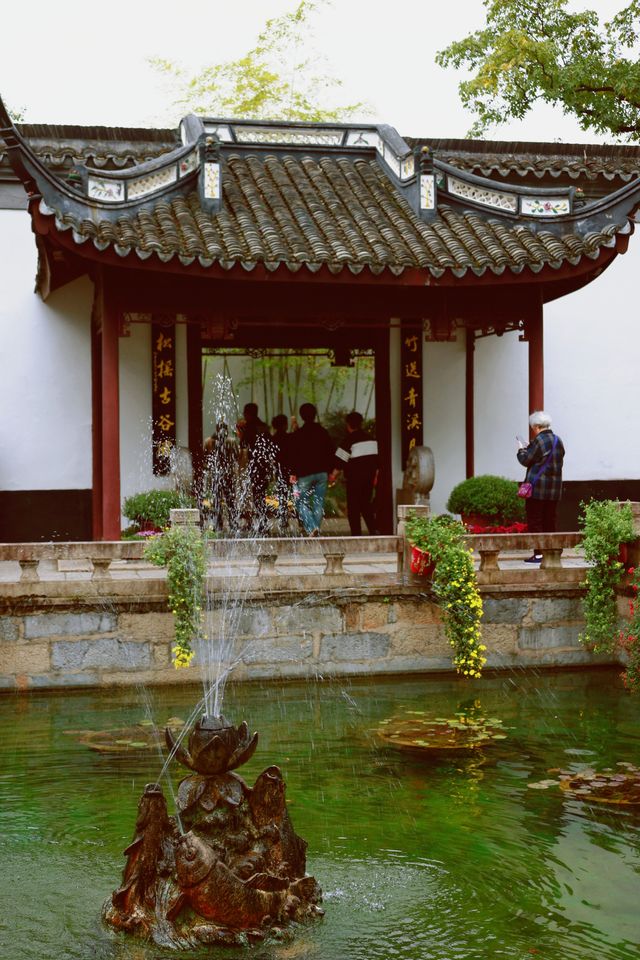 又到了醉白池最美的季節。 又到了醉白池最美的季節。