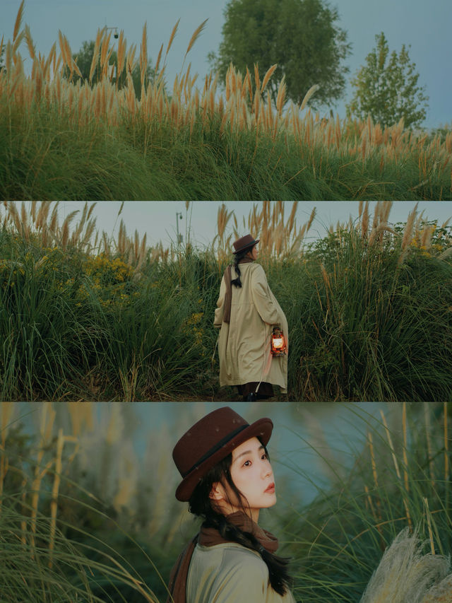 西安 | 本地人才知道的愜意公園,蘆葦蕩好美。 西安 | 本地人才知道的愜意公園,蘆葦蕩好美。