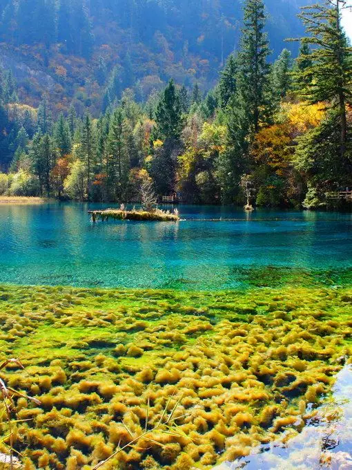 6-Day Chengdu and Jiuzhaigou Tour Guide