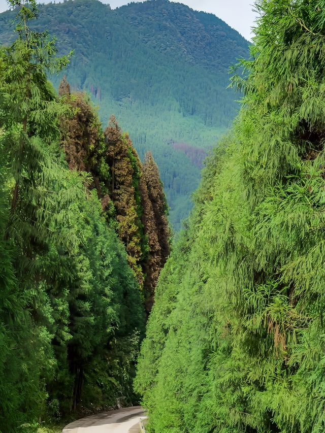 瓦屋山下被「國家地理」評為中國最美村落。