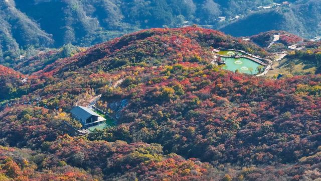 坡峰嶺。