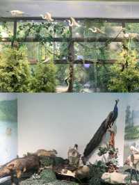 在肇慶星湖畔邂逅大自然的美妙時刻。