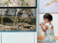 南昌「後花園」｜2天1晚攻略帶娃說走就走。