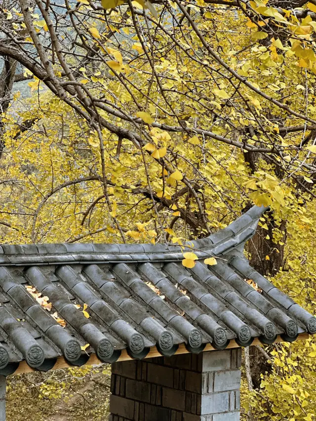 2-Day Panzhou Tour: Recommended Itinerary for Seniors