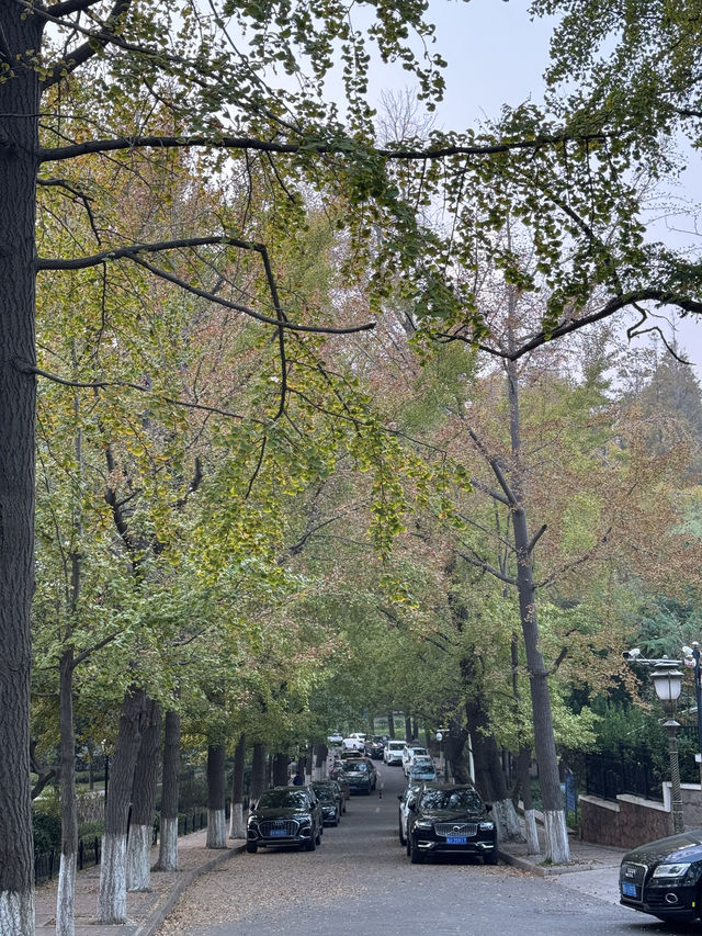 青島市區海邊散步打卡，太平角當然不能錯過。