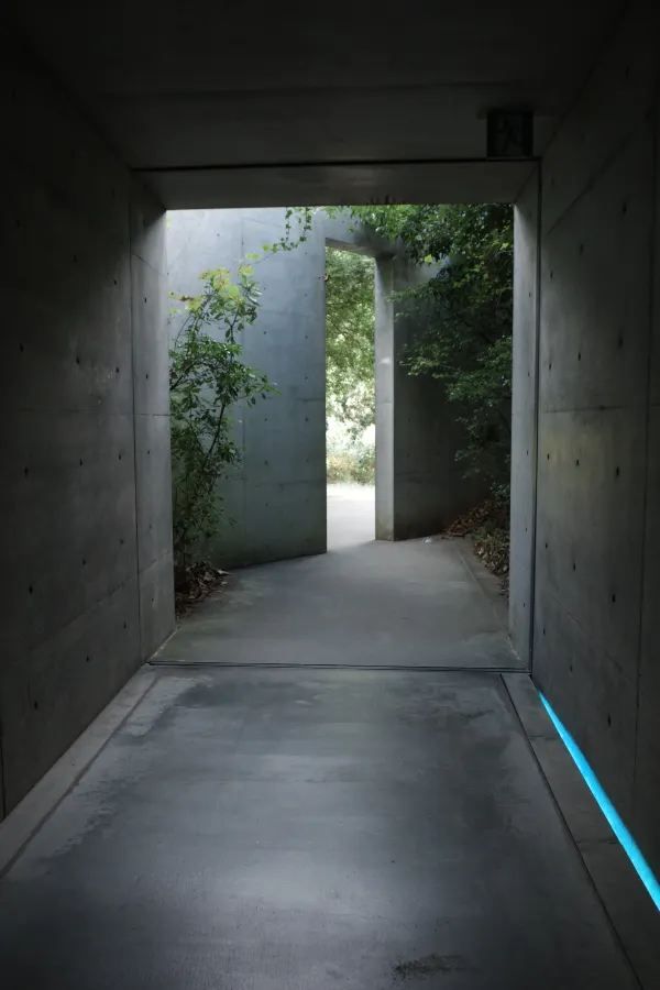 Naoshima: Where Time Can Be Seen