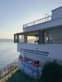 The Most Worthwhile Experience in Busan