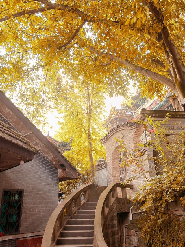 重慶銀杏滿園的寶藏寺廟——寶輪寺。