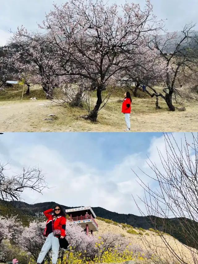 318번 쓰촨-티베트 도로의 린즈 가라촌.