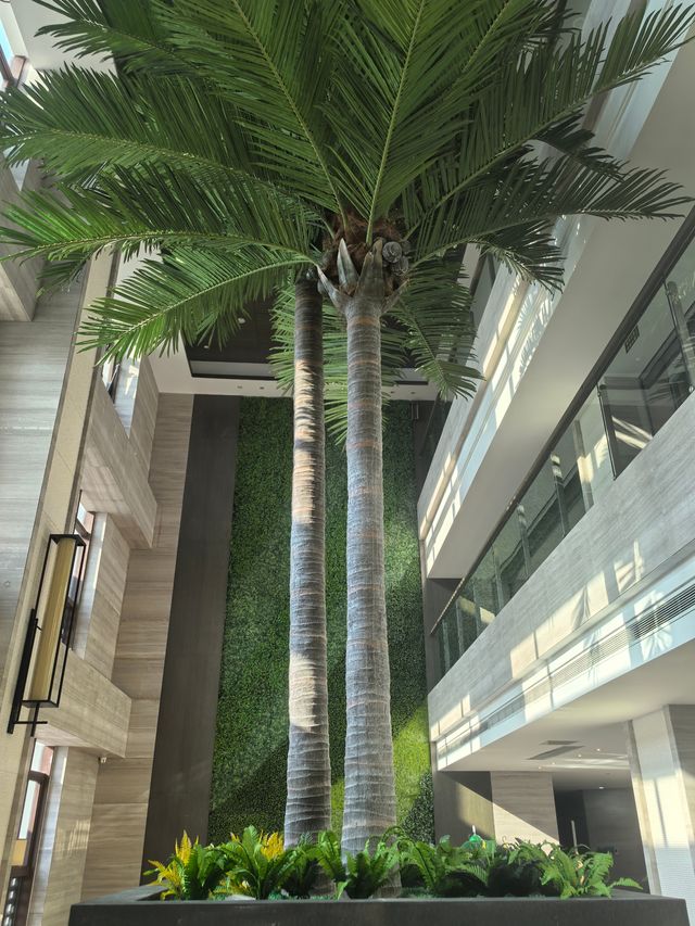 濟南人民後花園，冬日度假好去處－齊河孔雀王溫泉酒店。