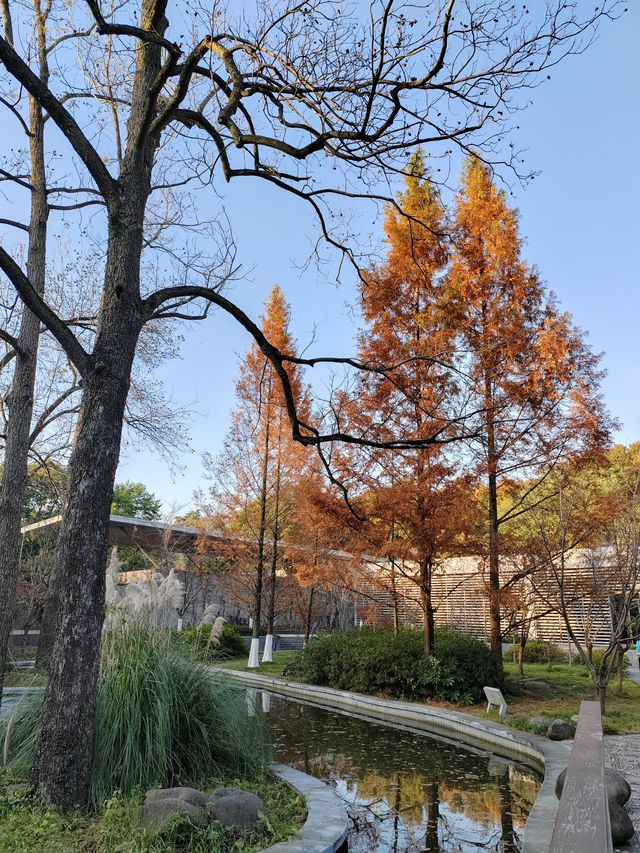 南京｜緬懷革命先烈，傳承紅色基因——雨花台景區