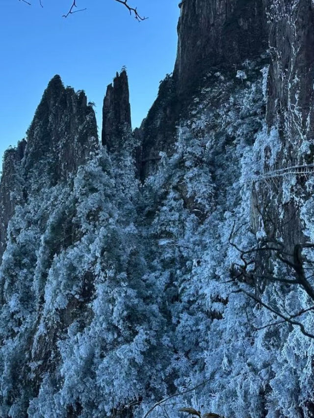 深圳出發2小時，高鐵直達看雪景