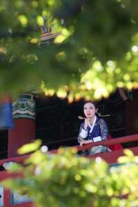 濟州島牧宮衙終於輪到我模仿大長今啦