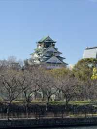 7日日本吃喝玩樂全都有