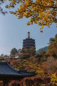 韶關雲門寺旅行攻略，禪宗名剎的靜心之旅