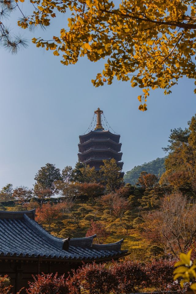 韶關雲門寺旅行攻略，禪宗名剎的靜心之旅