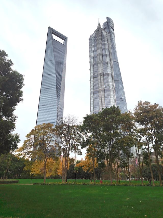 鋼鐵森林中城市綠洲——陸家嘴中心綠地
