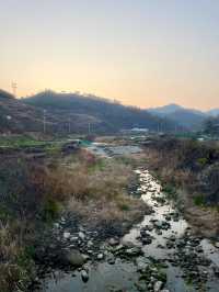 中華山鳥類省級自然保護區